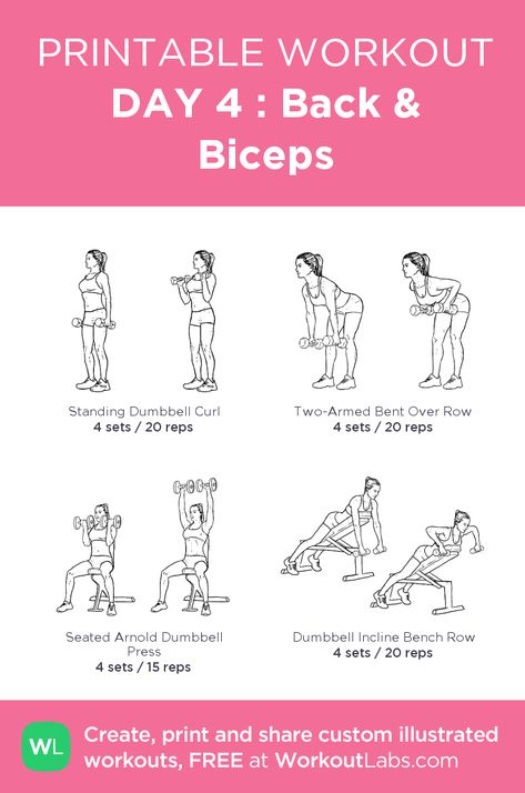 Lats And Biceps Workout, Back And Bicep Workout Dumbell Women, Bis Workout, Arms And Back Workout, Bicep Workout Women, Bicep Workout Gym, Back And Biceps Workout, Planning Sport, Back And Bicep Workout