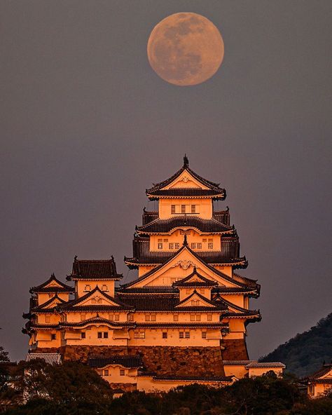 Japanese Castle Aesthetic, Old Japanese Architecture, Ancient Japanese Architecture, Chinese Palace, Ancient Chinese Architecture, Himeji Castle, Japanese Castle, Castle Aesthetic, Architectural Sketch