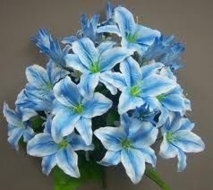 Blue Tiger Lily, Tiger Lily Bouquet, Stargazer Lily Bouquet, Tiger Lily Flowers, Blue Lilies, Easy Flower Drawings, Tiger Lilies, Rose Flower Pictures, Beautiful Flowers Photography