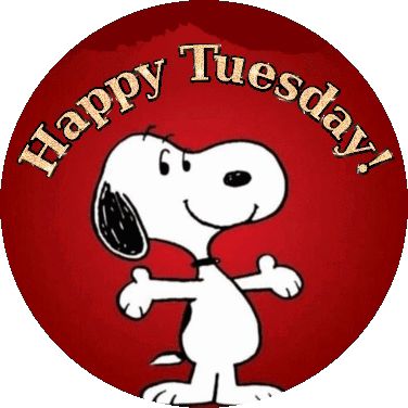 Snoopy Happy Tuesday Sticker - Snoopy Happy tuesday - Discover & Share GIFs Snoopy Happy Tuesday, Happy Tuesday Gif, Snoopy Tuesday, Tuesday Gif, Happy Tuesday Pictures, Tuesday Pictures, Good Morning Tuesday, Tuesday Humor, Hodge Podge