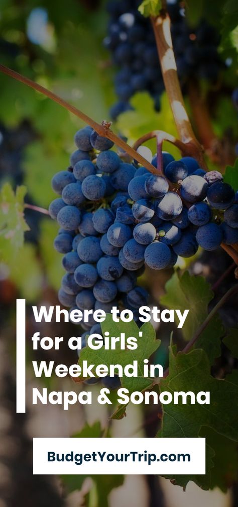 The Best Vacation Rentals for a Girls' Weekend in California Wine Country - Napa & Sonoma (February 2022) | Budget Your Trip #travel #United States of America #Napa Valley #accommodation #hostels #budget #budgettravel #backpackers Napa Valley In February, Travel United States, Wine Country Travel, California Wine Country, Sonoma Valley, Napa Ca, Wine Country California, Girls Getaway, Valley Girls