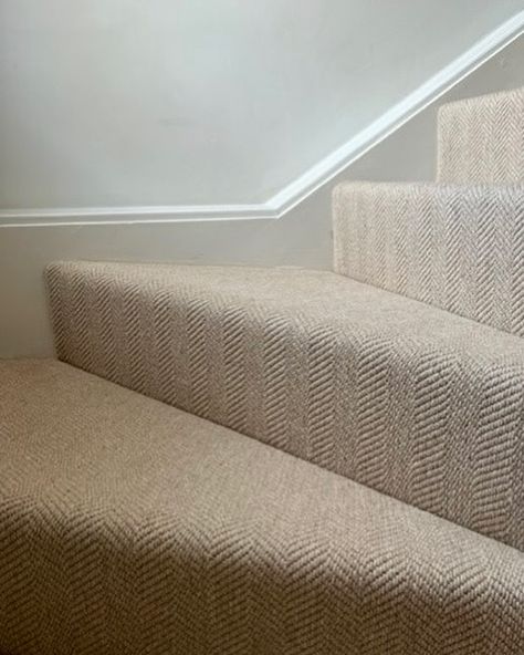 Enhance your staircase with the refined comfort of our Cumbrian Weave carpet. Crafted from 100% undyed wool, this flatweave herringbone design brings natural texture and elegance to any staircase, blending durability with sophistication. Perfect for creating that cozy, inviting feel to your safe haven 🪴 Explore our full color range on https://flooringbynature.co.uk/shop/carpet/cumbrian-weave-wool-carpet/ #flooringideas #flooringbynature #cumbrianweave #undyedwool #homeinteriors #woolcarpet ... Herringbone Carpet, Weave Carpet, Project 2025, Stripe Wall, Wall To Wall Carpet, Flat Weave Carpet, Woven Carpet, Herringbone Design, Color Range