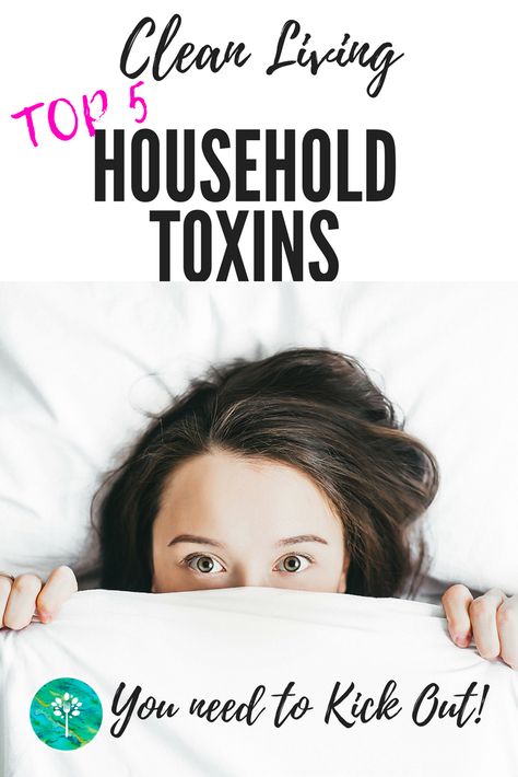 Protecting your family from Top Household Toxins is so important. Easy changes can be made for a healthier non toxic home. Candles & Scented Plug-Ins/Sprays, Fabric Softener, Household Cleaners and... Non Toxic Home, Toxic Cleaning Products, Candles Scented, Body Support, Clean Living, Mom Bloggers, Household Cleaners, Home Candles, Young Living Essential Oils