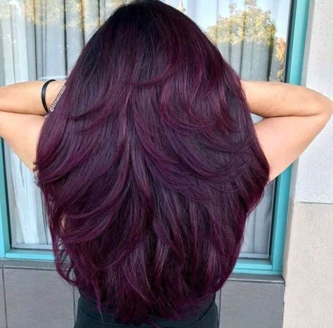 Maroon Hair Color, Pelo Color Borgoña, Hair Color Ideas For Brunettes Short, Caramel Hair Highlights, Pelo Color Vino, Maroon Hair, Dark Purple Hair, Hair Color Burgundy, Hair Color Crazy