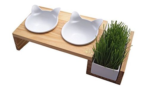 ViviPet Cat Dining Table - 15° Tilted Platform Pet Feeder... Cat Food Stand, Katt Grejer, Cat Grass, Cat Feeder, Cat Bowl, Wooden Cat, Pet Feeder, Cat Feeding, Cat Room