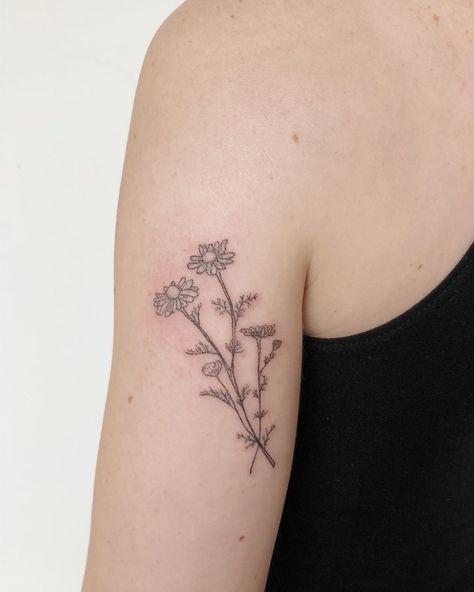 Camomile Tattoo, Camomile Flower, Stick Poke Tattoo, Stick N Poke Tattoo, Poke Tattoo, Stick And Poke, Tattoos And Piercings, Maple Leaf Tattoo, I Tattoo