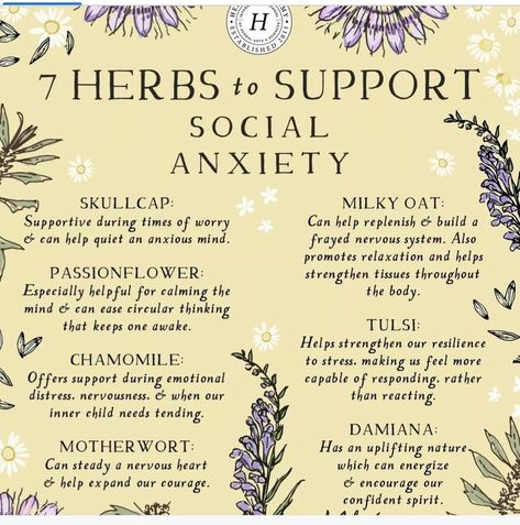 Herbal Academy, Herbal Education, Tea Remedies, Herbal Remedies Recipes, Medicinal Herbs Garden, Medical Herbs, Magic Herbs, Herbal Apothecary, Natural Healing Remedies