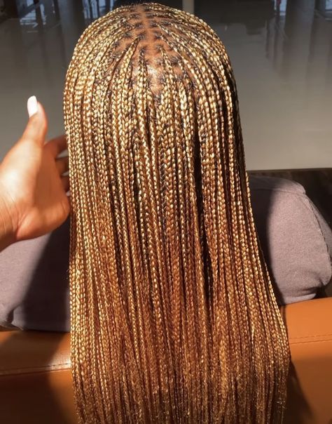 Honey Blonde Senegalese Twist, Caramel Braids Black Women, Ginger And Blonde Knotless Braids, Honey Blonde French Curl Braids, Small French Curl Braids, Honey Braids, 4/27/30 Braids, Honey Brown Braids, Honey Blonde Knotless