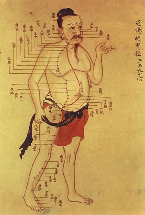 This ancient Chinese anatomical atlas changes what we know about acupuncture and medical history Acupuncture Charts, Chinese Acupuncture, Yin En Yang, Ancient Medicine, Medical Drawings, Old Medicine, Acupuncture Benefits, Usui Reiki, Point Acupuncture