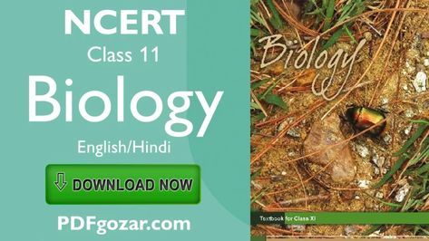 Ncert Biology Class 11, Ncert Biology, Biology Class 11, Class 11 Biology, Biology Book, Ncert Books, Biology Textbook, Competitive Exam, Class 11