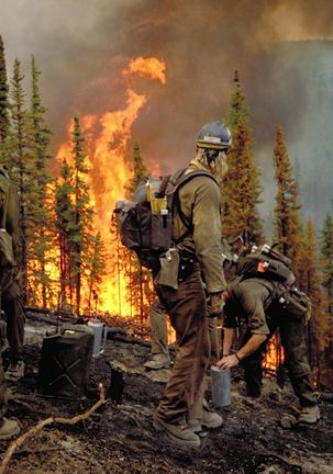 Alaskan firefighters just a couple miles from my home Hotshot Firefighters Wildland Firefighter, Wild Land Firefighter, Wildland Firefighter Gear, Firefighter Images, Granite Mountain Hotshots, Forest Firefighter, Norway Forest, Wildland Firefighting, Fire Tornado