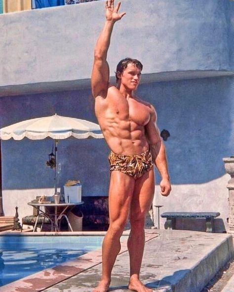 Arnold Schwarzenegger (1975) 💪 Arnold Aesthetic, Arnold Schwarzenegger Body, Arnold Schwarzenegger Muscle, Arnold Bodybuilding, Old Bodybuilder, Arnold Schwarzenegger Bodybuilding, Schwarzenegger Bodybuilding, Bodybuilding Pictures, Beefy Men