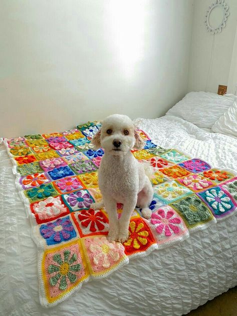 Daisy Square Crochet Blanket, Crochet Blanket Flower Granny Square, Flower Square Crochet Blanket, Charity Daisy Square Blanket, Crochet Charity Daisy Square, Diy Granny Square Blanket, Crochet Projects Shirt, Aesthetic Granny Square Blanket, Granny Square Blanket Inspiration