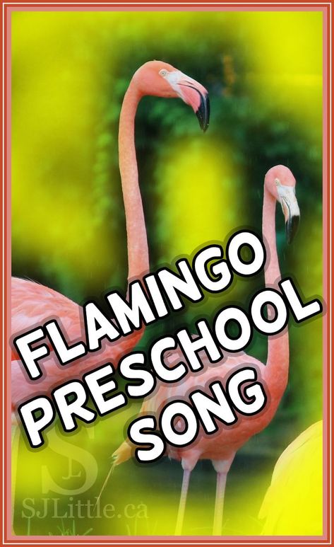 Preschool Flamingo Crafts, Flamingo Art Preschool, Flamingo Preschool Craft, Flamingo Unit Study, Flamingo Preschool Activities, Flamingo Crafts For Toddlers, Flamingo Art For Kids, Flamingo Crafts For Kids, Song For Preschoolers