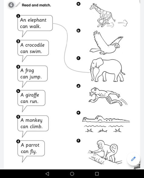 Animal English Worksheet, Zoo Activities Preschool, Learn To Read English, Compound Words Worksheets, English Homework, English Today, English Worksheets For Kindergarten, English Learning Books, English Teaching Materials