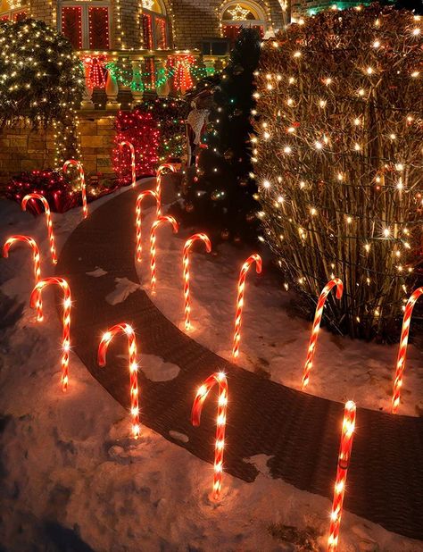 #Christmas Candy Cane #Christmas #Christmas tree Exterior Christmas Lights, Christmas Pathway Lights, Christmas Lawn Decorations, Candy Cane Decorations, Diy Christmas Lights, Pathway Lights, Holiday Crafts Diy, Christmas Themes Decorations, Winter Wonderland Christmas