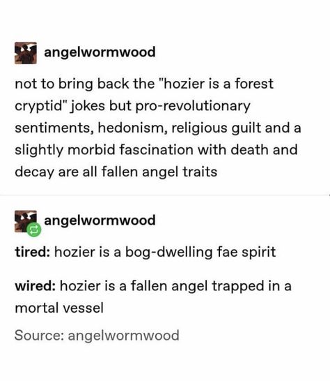 Hozier Height, Would That I Hozier, Hozier Tumblr, Hozier Tweets, Hozier Funny, Hozier Tattoo, Hozier Quotes, Billy Joe Armstrong, Bog Man