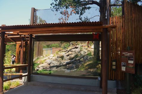 Cheetah Habitat, Jaguar Habitat, Planet Zoo Aardvark Habitat, Planet Zoo Wolf Habitat, Planet Zoo Walkthrough Habitat, Zoo Games, Zoo Boo, Los Angeles Zoo, Zoo Inspiration