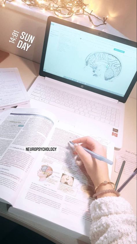 Career Woman Aesthetic Psychology, Asthetic Pics Psychology, Phsycology Student Aesthetic, Neuropsychology Student, Neuropsychologist Aesthetic, Physocolgy Aesthetic, Neuropsychology Aesthetic, Study Psychology Aesthetic, Future Psychologist Aesthetic