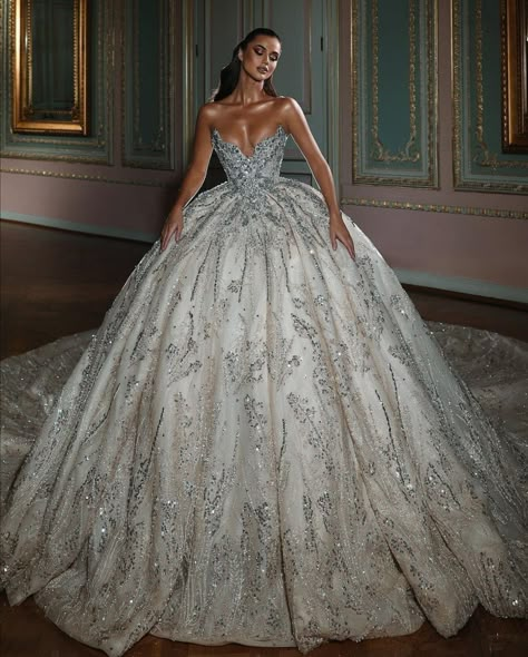 Albina Dyla, Ball Gowns Fantasy, Extravagant Wedding Dresses, Satin Mermaid Wedding Dress, Big Wedding Dresses, Sheer Wedding Dress, Stylish Wedding Dresses, Airbrush App, Pretty Wedding Dresses