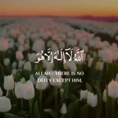 Ayat E Quran, Aytal Kursi Video, Tilawat E Quran Videos, Ayatul Kursi Wallpaper, Beach Sound, Ayat Ul Kursi, Tilawat E Quran, Ayat Al Kursi, Quran Reading