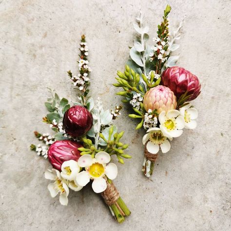 Native boutionnieres and buttonholes Australian Native Boutonniere, Australian Native Buttonhole, Native Buttonhole, Flower Farming, Button Holes Wedding, Flower Inspiration, Wedding Flower Inspiration, Button Holes, Australian Native