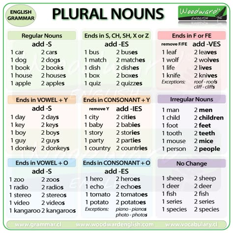 Plurals Worksheets, Nouns Grammar, Plural Words, Irregular Plurals, Singular And Plural Nouns, English Grammar Exercises, English Grammar For Kids, Singular Nouns, Grammar For Kids