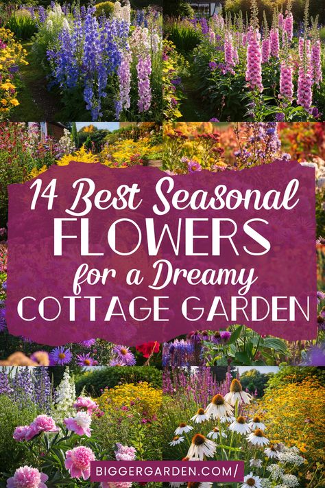 Plan your cottage garden seasonally with this guide to 14 flowers that bloom in spring, summer, and fall. From early blossoms to hardy fall flowers, this guide helps you create a year-round retreat in your garden with seasonal favorites that bring timeless beauty. Cottage Flower Beds, Spring Flowers Garden, Summer Flower Garden, French Cottage Garden, Cottage Core Flowers, Cottage Garden Sheds, Cottage Garden Flowers, Flower Garden Plans, Cottage Flowers