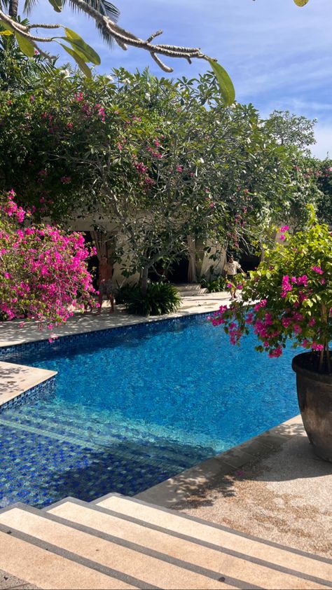 swimming pool in bali with pink flowers Bali House, White Rock, Rock On, Wild Flower, Brie, Pink Flower, Future House, Swimming Pool, Swimming Pools