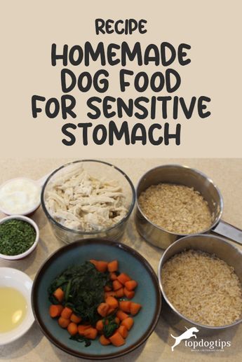 This homemade dog food for sensitive stomach recipe may be just what a dog like this needs. Homemade Dog Food For Digestive Problems, Small Dog Homemade Food, Homemade Dog Food With Fish, Homecooked Dog Food Recipes, Healthy Homemade Dog Food For Small Dogs, Dog Food For Sensitive Stomachs, Dog Meals Homemade Easy, Dog Food Recipes For Sensitive Stomachs, Make Your Own Dog Food Recipes