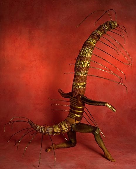 Ciempiés. Amazing! Not practical, but lovely. Centipede Costume, James And Giant Peach, Puppet Costume, Authentic Costumes, Creepy Costumes, The Giant Peach, Art Costume, Basket Woven, Insect Art