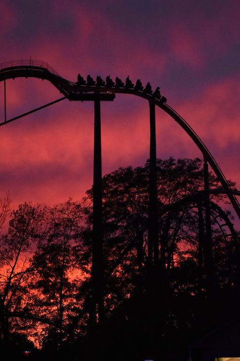 Six Flags Sunset Six Flags Illinois, Six Flags Aesthetic, Flags Aesthetic, Six Flags México, Six Flags Great America, 6 Flags, Park Aesthetic, Killer Clown, Online Scrapbook