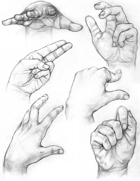 Figurative Kunst, Drawing Hands, Hand Gestures, Hand Drawing Reference, Anatomy Sketches, Art Sketches Pencil, Drawing Studies, Anatomy Drawing, Hand Sketch