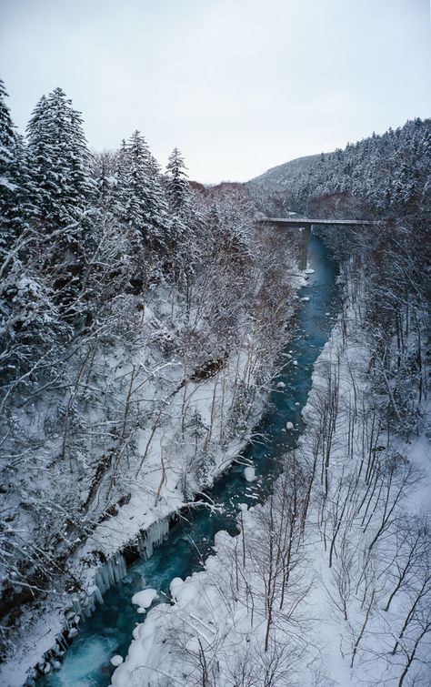 Biei, Hokkaido in Winter Hokkaido Winter, Japan Hokkaido, Winter Trip, Furano, Travel Wishlist, Winter Travel, Japan Travel, Travel Dreams, My Blog