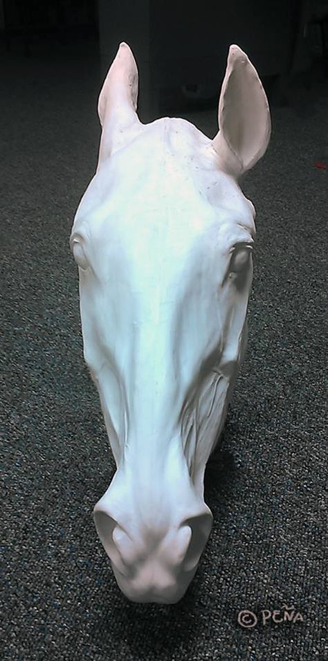 Traditional Sculptures, Sculpture Head, Horse Sketch, Horse Anatomy, Sculpture Art Clay, Equestrian Art, Animal Study, Horse Face, Face Book