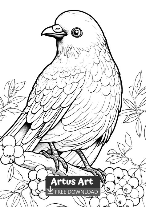 Bowerbird Coloring Page - Free PDF Download Coloring Page. Look at this amazing Awesome Bald eagle. Grab your colored pencils and get your free copy of this coloring page. #freedownload #bowerbirdcoloringpage #bowerbird Bird Coloring Pages For Adults, Birds Coloring Pages Free Printable, Embroidery Birds, Bird Outline, Coloring Page Free Printable, Bird Coloring Pages, Floral Chandelier, Bird Quilt, Fall Coloring Pages