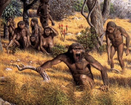 Australopithecus Afarensis, Prehistoric World, Prehistoric Creatures, A Beast, Fantasy Concept Art, Dean, Concept Art, Elephant, Marvel