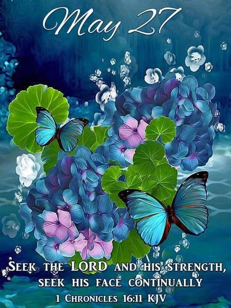 #Fr2377 #May27 2020 #13483 2019 #1Chronicles16v11 KJV #DailyBlessing  www.facebook.com/Judiann.F December Scriptures, Words Of Faith, Blessed Wednesday, Inspirational Verses, Seek The Lord, Good Morning God Quotes, Butterfly Images, Butterflies Flying, Morning Blessings