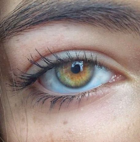 Pretty Hazel Eyes Aesthetic, Hazel Eye Drawing, Pale Hazel Eyes, Bright Hazel Eyes, Hazel Eyes With Green Flecks, Hazel Eyes Aesthetic Girl, Hazel Green Eyes Aesthetic, Aesthetic Hazel Eyes, Hazel Grey Eyes