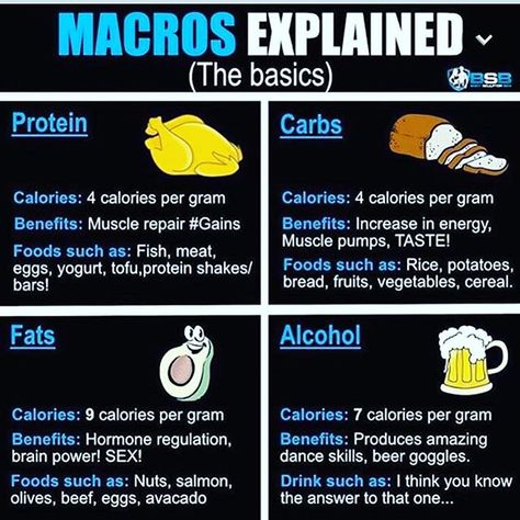 #Macros Explained” - Reposting.. a few of you guys. I’ve seen this a few times on my TL and it’s worthy of a share. #theketogenicbarbie 💕#dowork #iifym #macros #ketologic #ketodiet #protein #carb #fat #micronutrients #macronutrients #wellness #livewell #healthiswealth Alcohol Calories, Tofu Protein, Micro Nutrients, Fitness Instagram, Fit Chicks, Protein Shakes, Living Well, The Basics, Healthy Choices