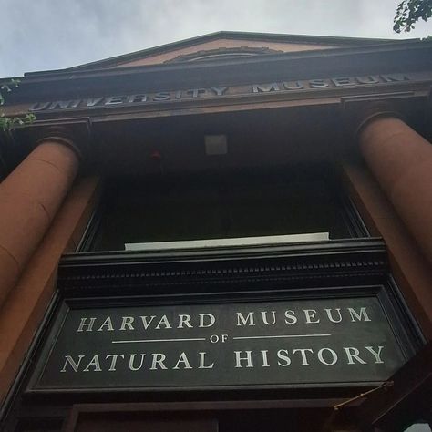 Harvard Recap!❤️ Harvard Museum Of Natural History, Harvard Professor Aesthetic, Harvard Aesthetic, Professor Aesthetic, Broken Pieces, Harvard University, August 12, Natural History, Big Boys