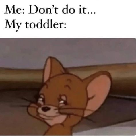 Please tell me it's not just my toddler 💜 #relatablemotherhood #relatablemumlife Toddler Meme, Single Memes, Terrible Twos, Parenting Memes, Someone Told Me, Top Memes, Trials And Tribulations, Jason Voorhees, Funny As Hell