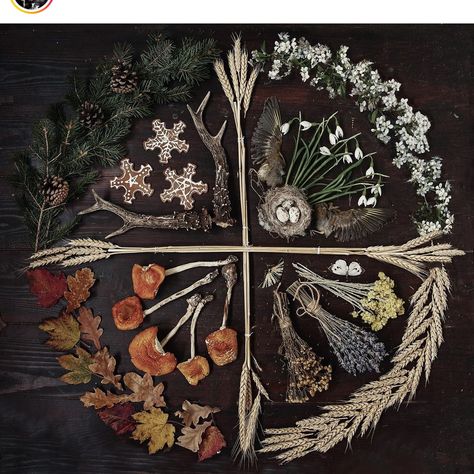 Magia Das Ervas, Folk Magic, Season Of The Witch, Beltane, Witch Aesthetic, Witchy Woman, Green Witch, Witchy Vibes, Samhain