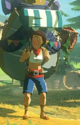 Beedle The Legend Of Zelda, Zelda Costume, Drawing Refrences, Legend Of Zelda Costume, Legend Of Zelda, Halloween Ideas, Halloween Costume, Storytelling, Art Reference