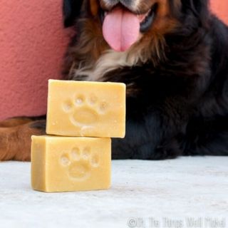 Dog Soap Recipe, Dried Dog Treats, Diy Dog Shampoo, Homemade Dog Shampoo, Dog Dry Skin, Dog Shampoo Bar, Freeze Dried Dog Treats, Dog Paw Balm, Dog Treats Recipes