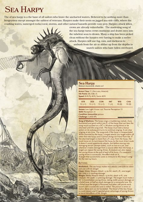 Bored at work dungeons and dragons dnd5e homebrew approbation of a Witcher Creature and a Harpy. Pirate Mythical Creatures, Custom Dnd Creatures, Dnd Dragons Homebrew, Sea Monster Dnd 5e, Pirate Stat Block 5e, Harpy Dnd 5e, River Siren Dnd, Pirate Dungeons And Dragons, 5e Sea Monsters