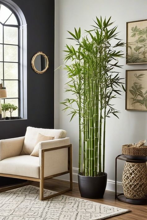 12 Best Indoor Faux Plants Bamboo Indoor Plant, Fig Images, Bamboo Plant Indoor, Plants Corner, Indoor Bamboo Plant, Bamboo Indoor, Bamboo Image, Indoor Bamboo, Fern Images