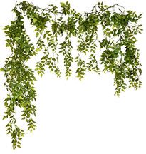 Boxwood Garland, Tree Photoshop, Artificial Garland, Eucalyptus Garland, Faux Greenery, Greenery Garland, Hanging Garland, Leaf Garland, Landscape Architecture