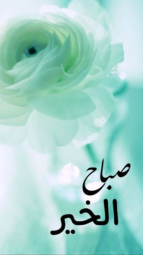 Good Morning Quotes In Arabic, Morning Quotes In Arabic, Quotes In Arabic, Ramzan Images, Subah Bakhair, Evening Quotes, Good Morning Arabic, Bliss Quotes, Morning Love Quotes