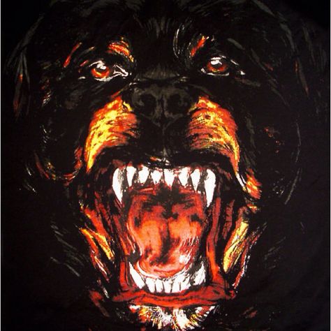 Givenchy Givenchy Wallpaper, Givenchy Dog, Rottweiler Quotes, Givenchy Rottweiler, Paris Wallpaper, Mixtape Cover, Anti Fashion, Cool Wallpapers For Phones, Hip Hop Music